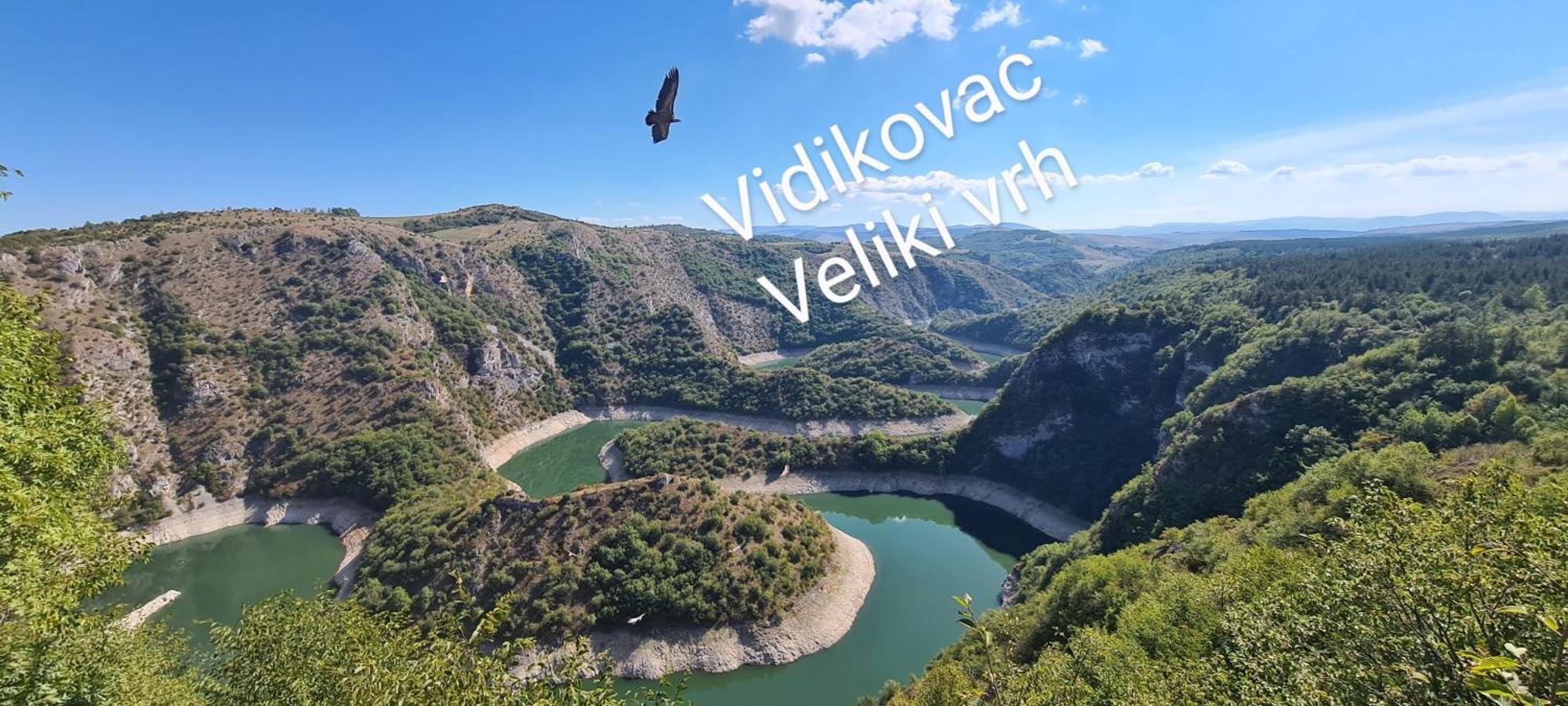 Markove Kolibe 2, Uvac 셰니차 객실 사진